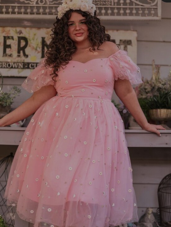 JessaKae Dresses & Skirts - JessaKae Blush Pink Tulle Dress with Daisy Embroidery